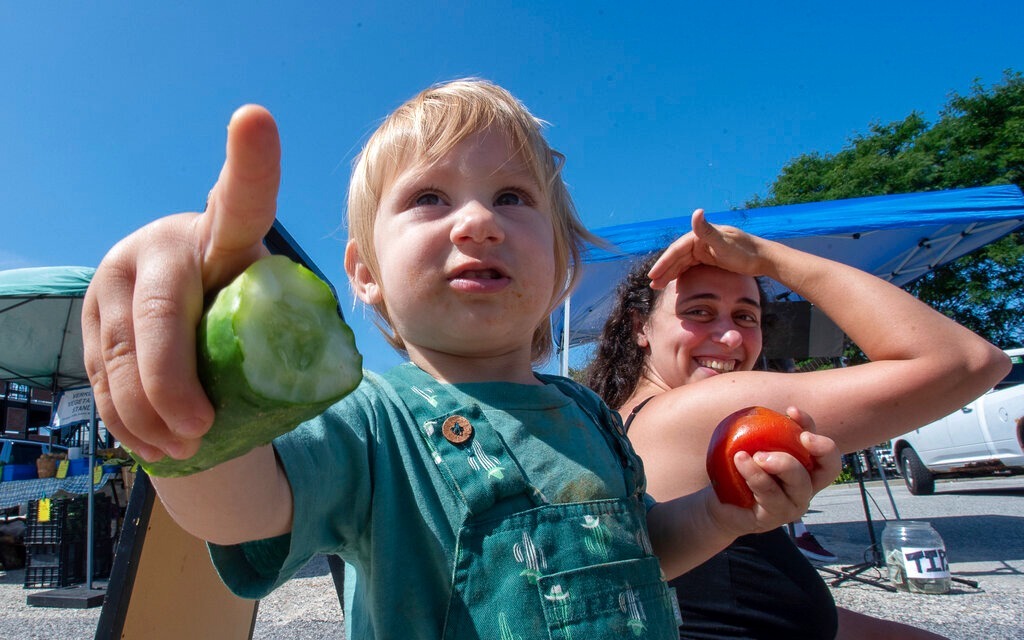 ¿Fortalecer el sistema inmunológico es una buena protección contra Covid-19?  Aquí una explicación